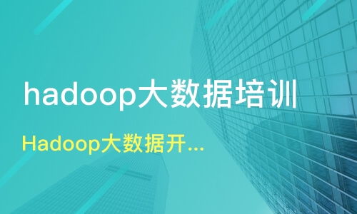 武漢東湖新技術開發(fā)區(qū)大數(shù)據(jù)培訓機構選擇指南